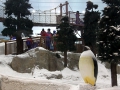 081-dubai-indoor-snow-park