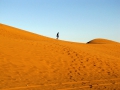 37-maspalomas-duny