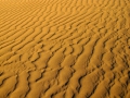 42-maspalomas