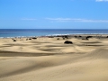 43-playa-de-ingles