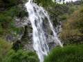 014-powercourt-waterfall-wicklow