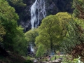 071-powercourt-waterfall-wicklow