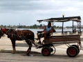 024-konske-taxi-cienfuegos