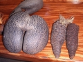 61-coco-de-mer-eroticky-tvarovane-kokosove-orechy