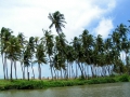 044-negombo-lagoon