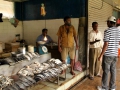 051-fish-market-kandy