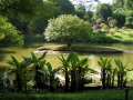 063-botanic-garden