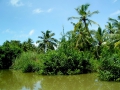 064-botanic-garden